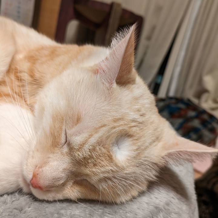 E629a721 e5cb 4159 b226 24f2d16f82a3 1698145651951