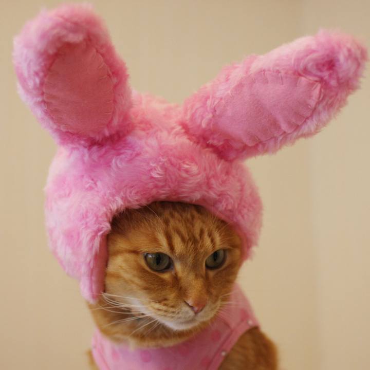 E629e268 16c3 4631 8b49 b44554e1357f 1743496800412