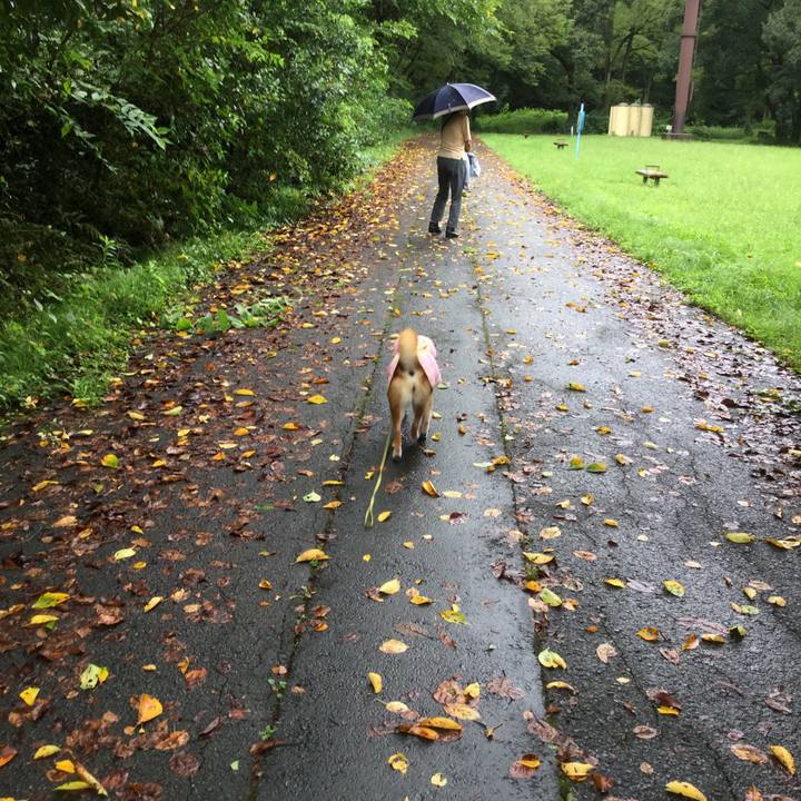 E62a355c 1eb8 47b5 9d52 8f50f25d8c58 1567146504961