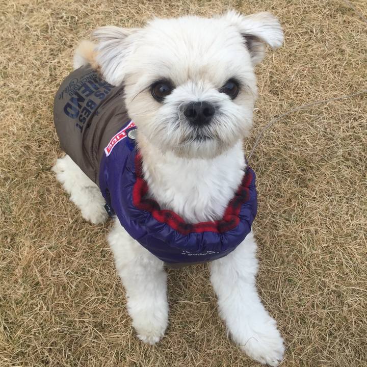 E62a6127 e99c 4d12 b610 bfb2866854d1 1512735174689