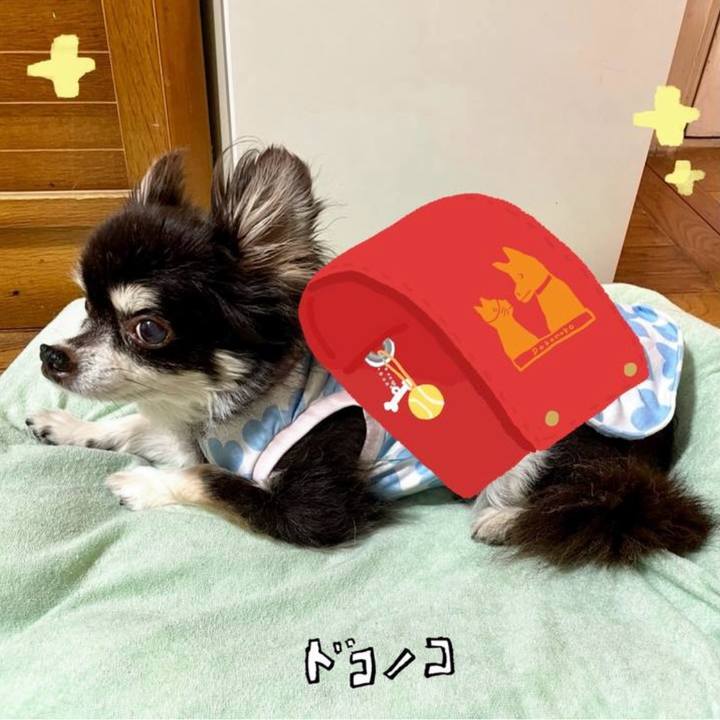 E62ac40e 418f 4ab8 b2b0 dbc1ea67a5d8 1744783783093