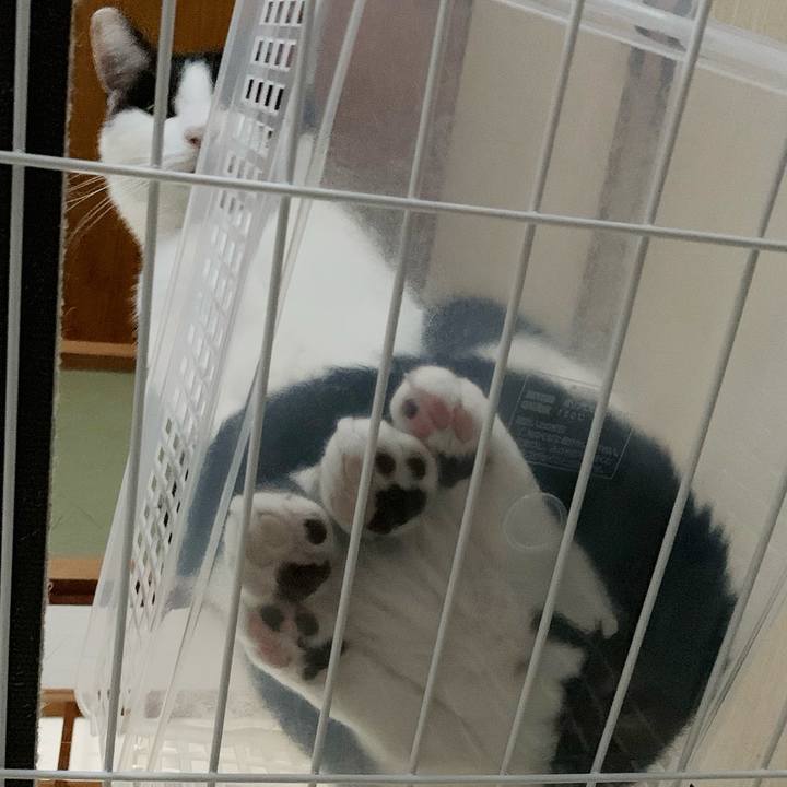 E62b1aff 0565 4602 b7f9 6584719c9a4d 1542508236539