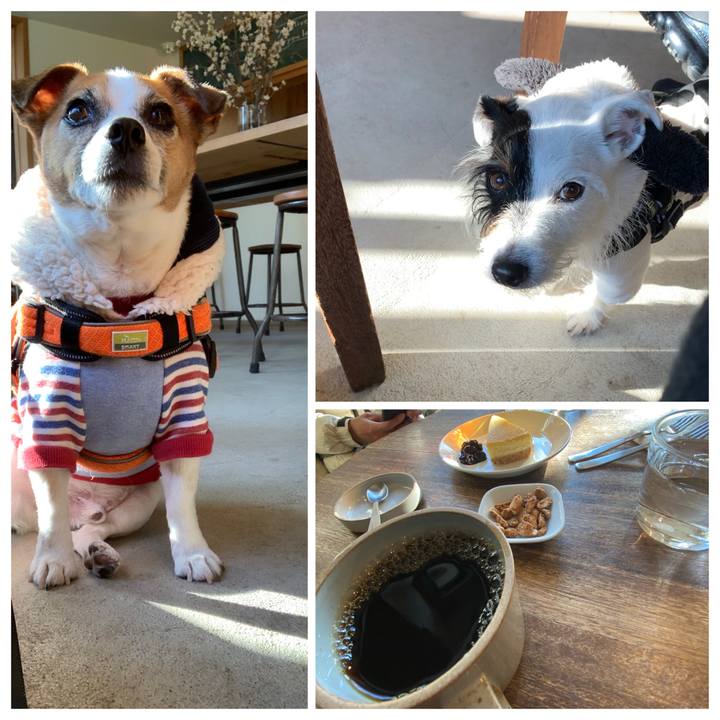 E62b24be a8a0 43b7 b416 adb2196aa463 1578895030248