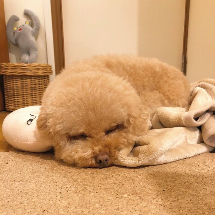 E62b465a 70f7 469b 8a5f 7bb208001b75 1511928654977