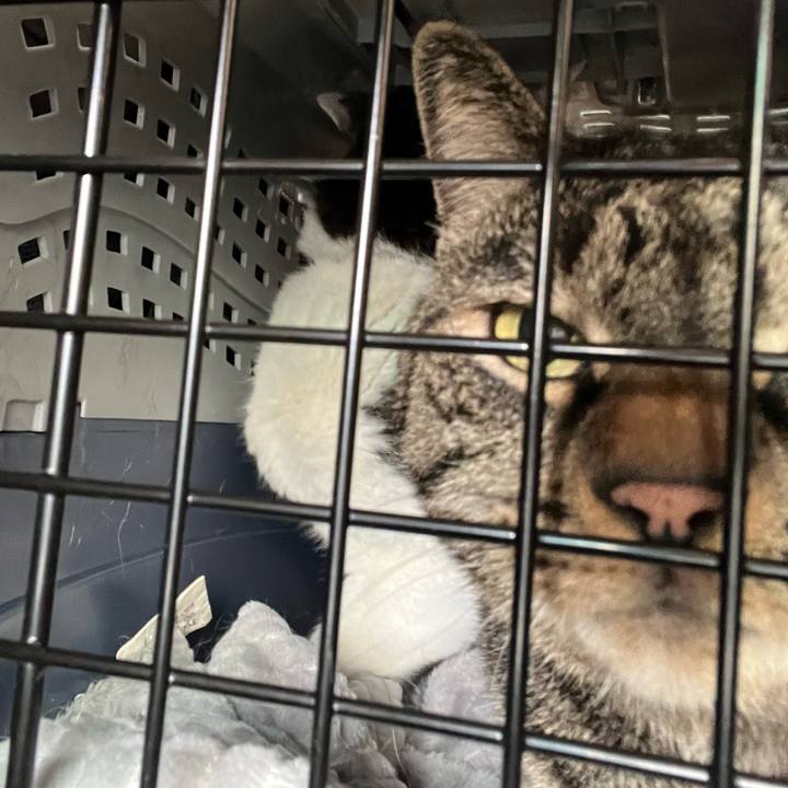 E62bb49c 180f 4c0c a3eb bb4487018571 1768974214579