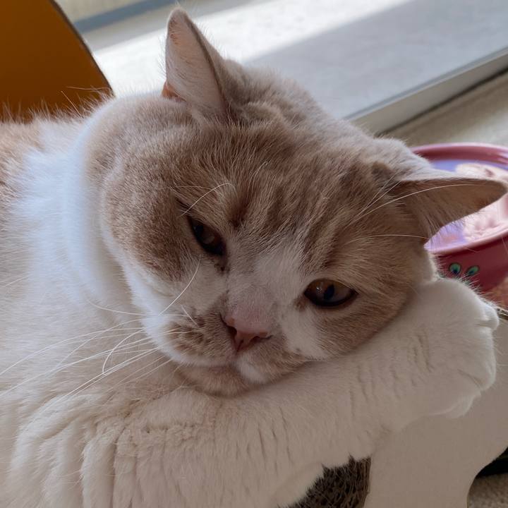 E62c17fb 255d 4dde b66c 2556d12fa0d9 1615397949253