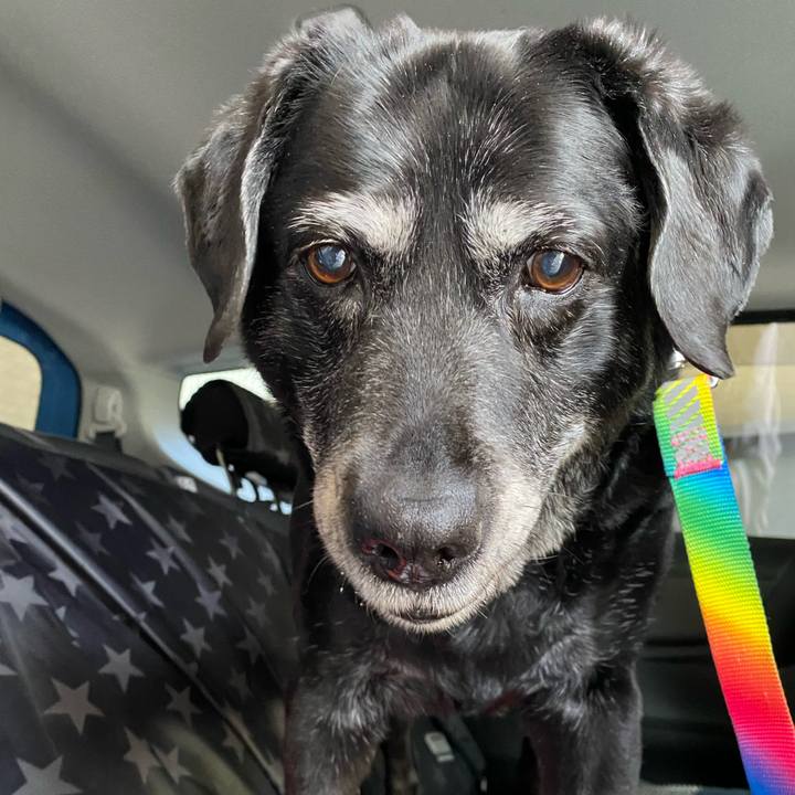 E62c2ba7 e8bb 4c36 a713 689b137f1866 1681198236335