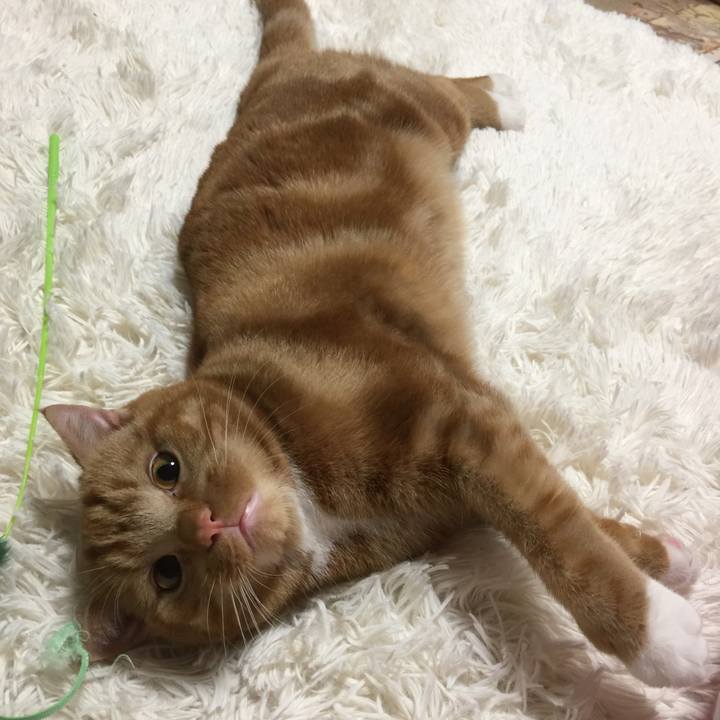 E62c5dc5 c961 4a97 9f49 dffe40e62e57 1508890191606