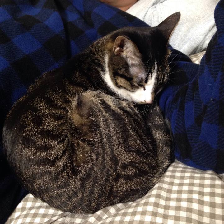 E62c60fc 0611 45ad bea7 bc35330648c6 1511684289464