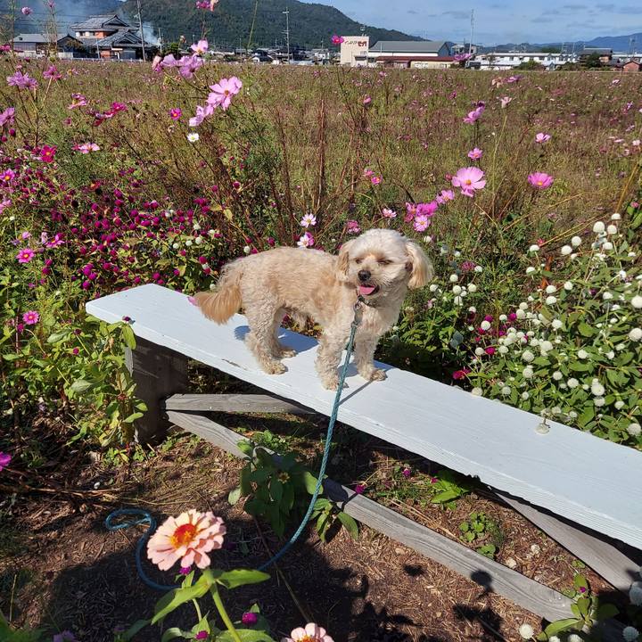 E62c6368 4fae 478f 828b 7a1b141a4747 1635569057241