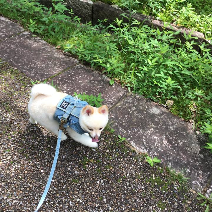 E62c85e7 8647 49fb 9576 c040ceb80701 1594524528732