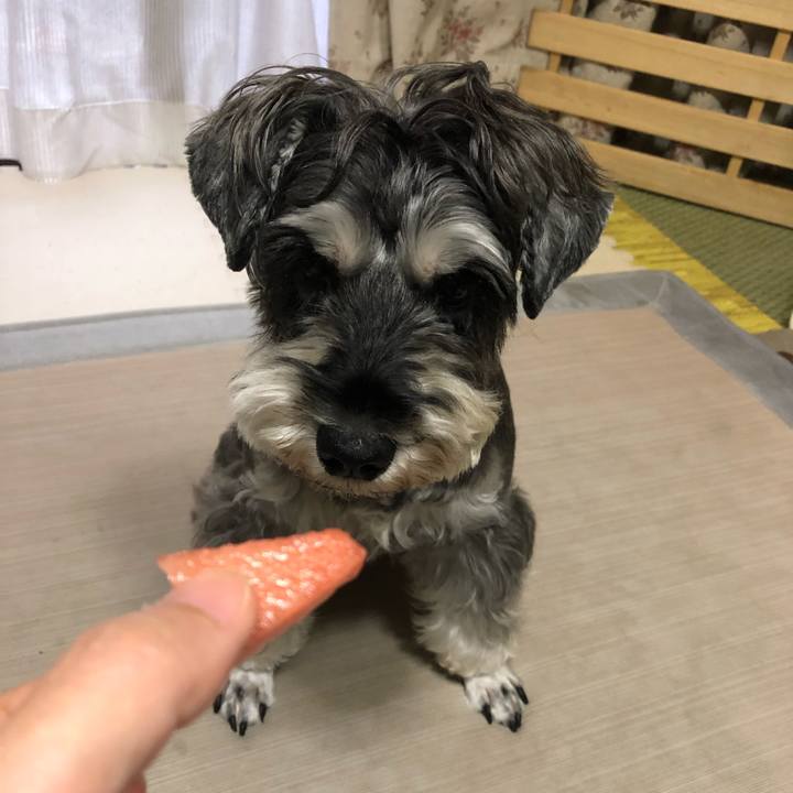 E62d14b5 aef6 44f9 a179 792d60957342 1631953735978