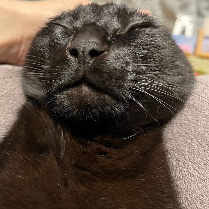 E62d258c c1b9 4b1e aaf0 e719453b93d4 1712930832126