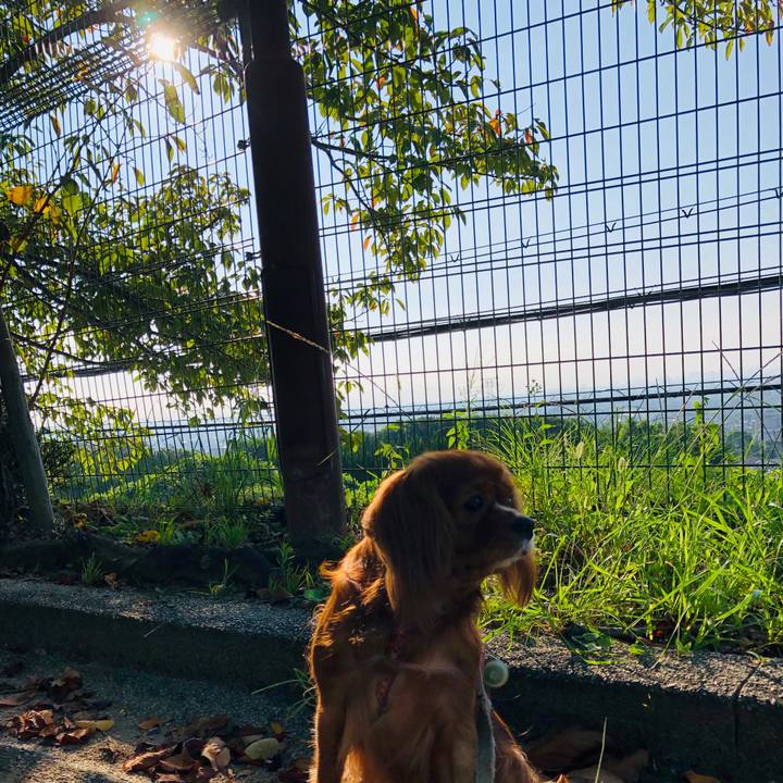 E62d300e d230 4d25 a90e 861c51c282a0 1568607729052