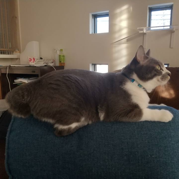 E62d6a30 cb6c 4efa 9a08 d1d6c26cb4da 1640157436368