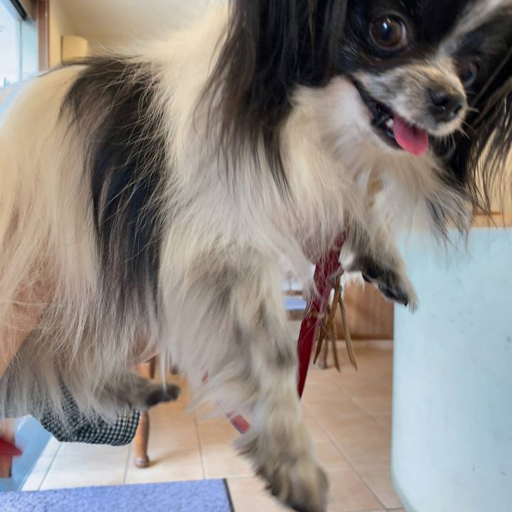 E62da7a3 67fd 49ce b1a2 d4ce11cfe6e1 1558319830348