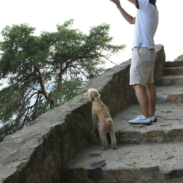 E62dad7c d71c 4bfc a7d0 6c02f5b29f60 1537989828123