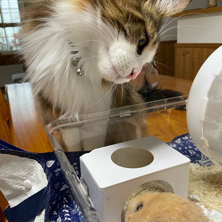 E62dc6c7 e9d0 4880 95c1 4c159c3d6f91 1653208429972