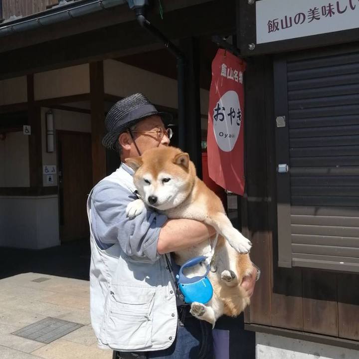 E62de281 ec74 4b49 9f17 6dcf00897536 1590109979597