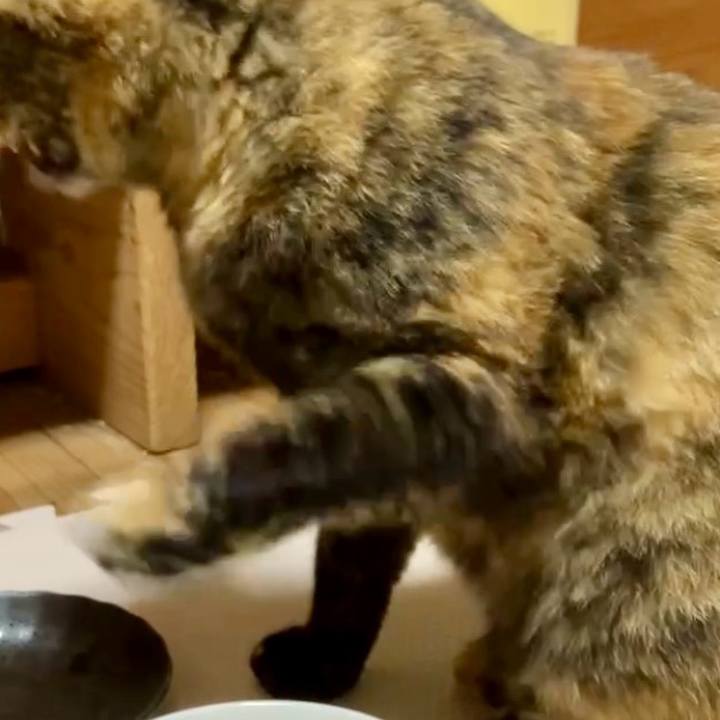 E62e0e1e 7b8d 4d8d aa95 5d7582af2ce4 1729676411082