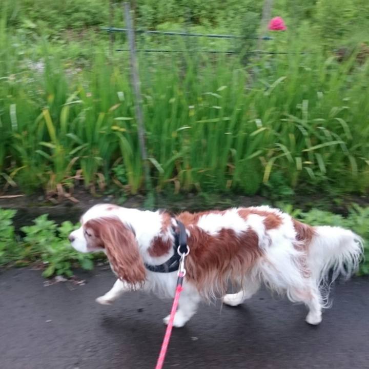 E62e1825 8ee7 42b3 bc2e 6cc5b2b89f2e 1562881762265