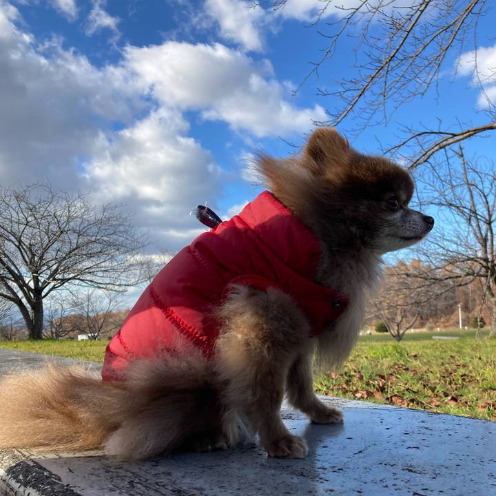 E62e2c8f ff6c 48d9 add3 610c1b46ca8a 1669101773216