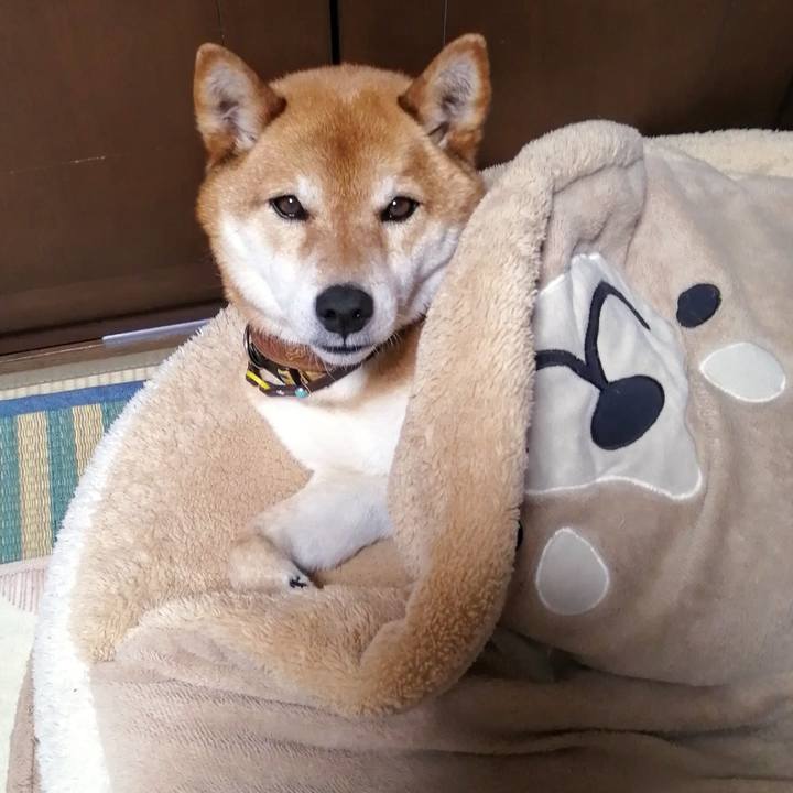 E62e4d14 aeed 4897 a049 e1bc488fe91b 1619443259133