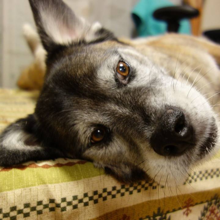 E62e6463 16e0 4148 9aa4 3d292d20684f 1523398276863