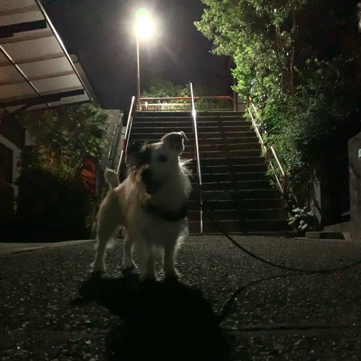 E62e71dc 57e9 4736 a510 777ab30668a5 1656680209079