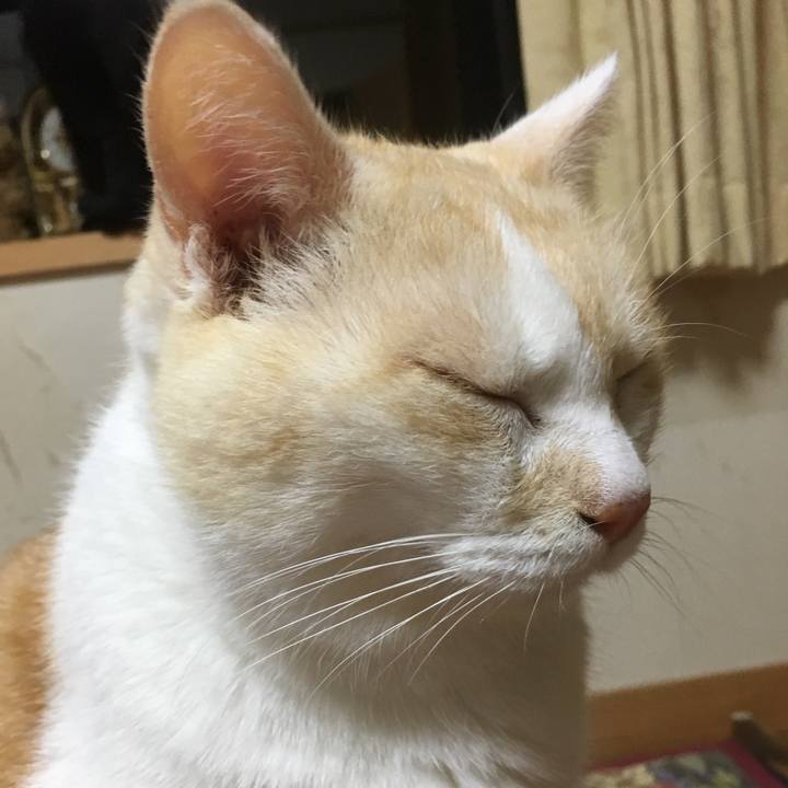 E62e8f7d d727 43dc 9e01 d3e7e7b6add2 1509193438799