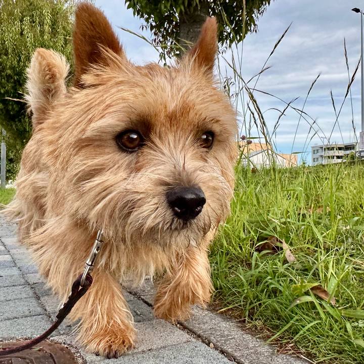 E62eaa34 3fc9 4e99 a420 ffeb83bd01b8 1746941402849