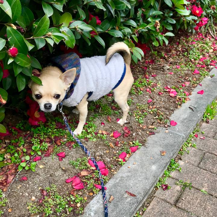 E62eccc4 50b3 43dc 8323 8f51c88f9427 1518840123492