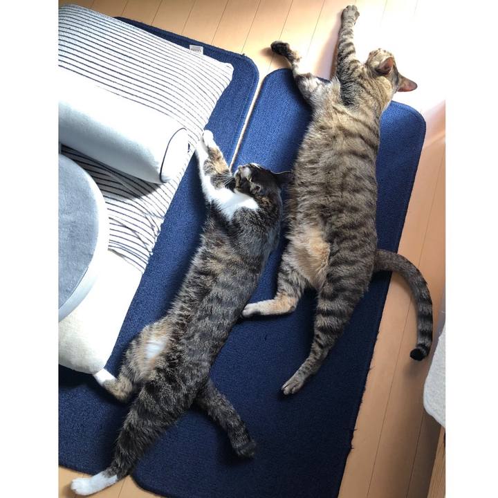 E62f153f 93bc 43b0 9687 a4daac62a94e 1650142517476