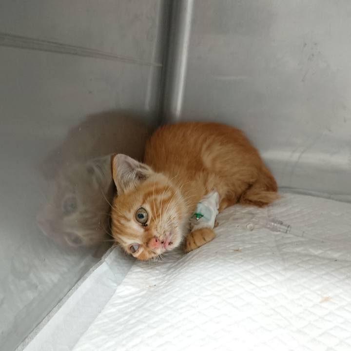 E62f3b1d e203 44e4 b860 2f4082720461 1627378268820