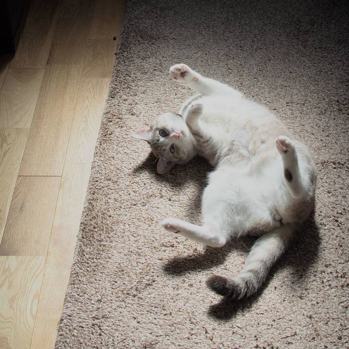 E62f466e 2bd7 4f2e 894a 7949fe22fe28 1560657169659