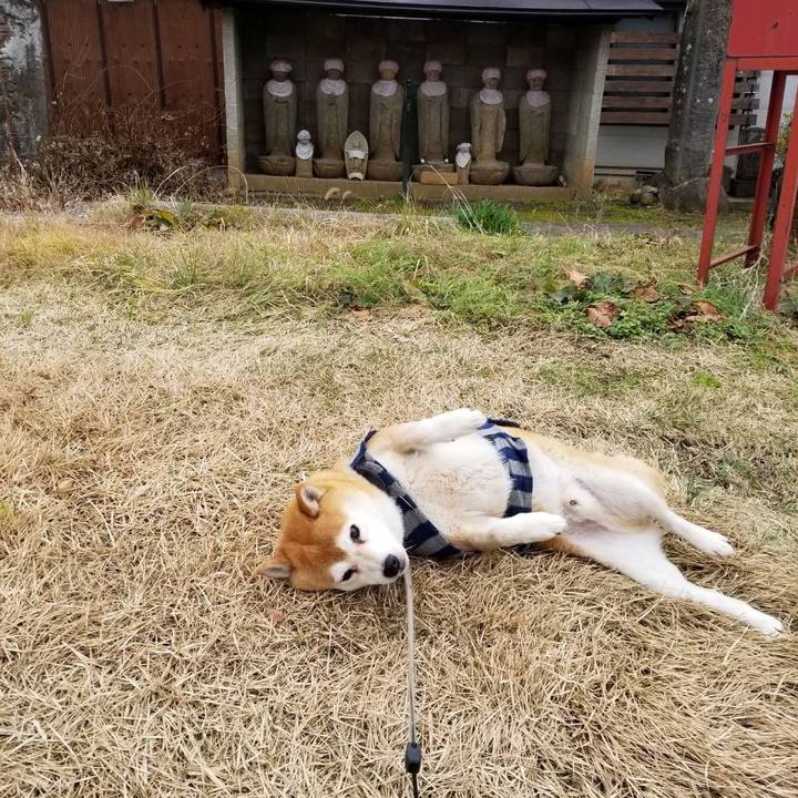 E62f683f 45a2 4d0b 8b5f 080f3b73c4b2 1576989058288