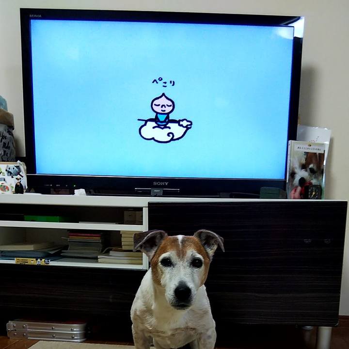 E62fb06d 902a 452f 9fd7 682459519de5 1558303518704