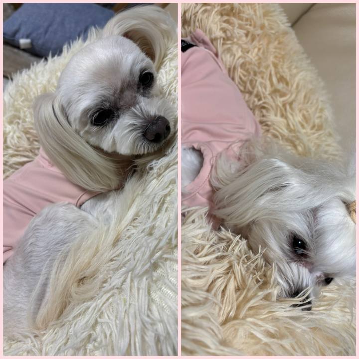 E62fd6ae 6391 4996 95a5 15216a6e7a08 1766392849953