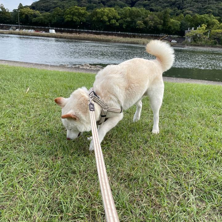 E630224b 5ee3 41c5 a180 eaf0f6949a67 1634707991930