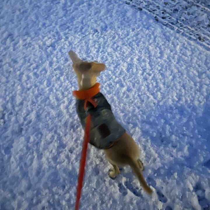 E6305fd5 3c07 40b2 a861 fb9c64cbb851 1671289967561