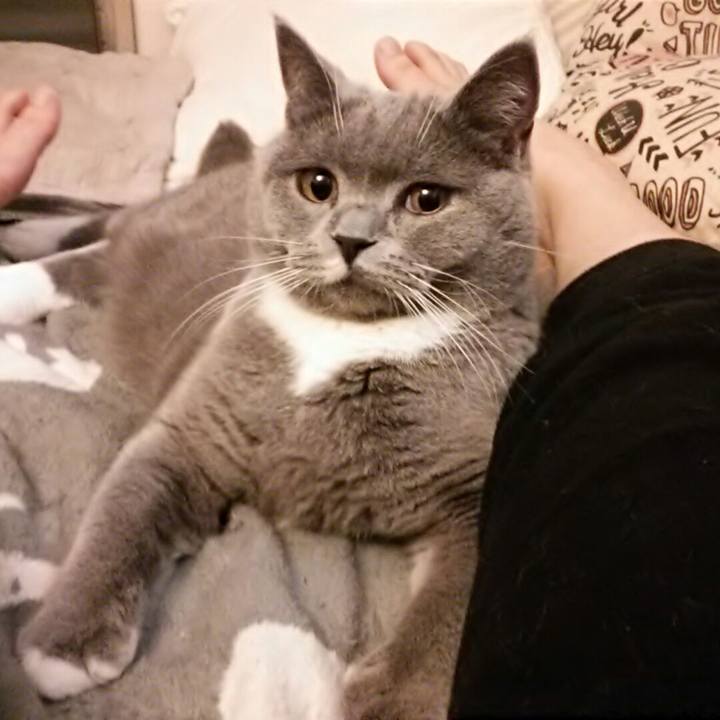 E6306151 6b87 4860 bca2 866ceab7ffb4 1546930058797