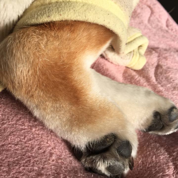 E63077dd 8917 4410 a027 baff6de4b37d 1580606153704