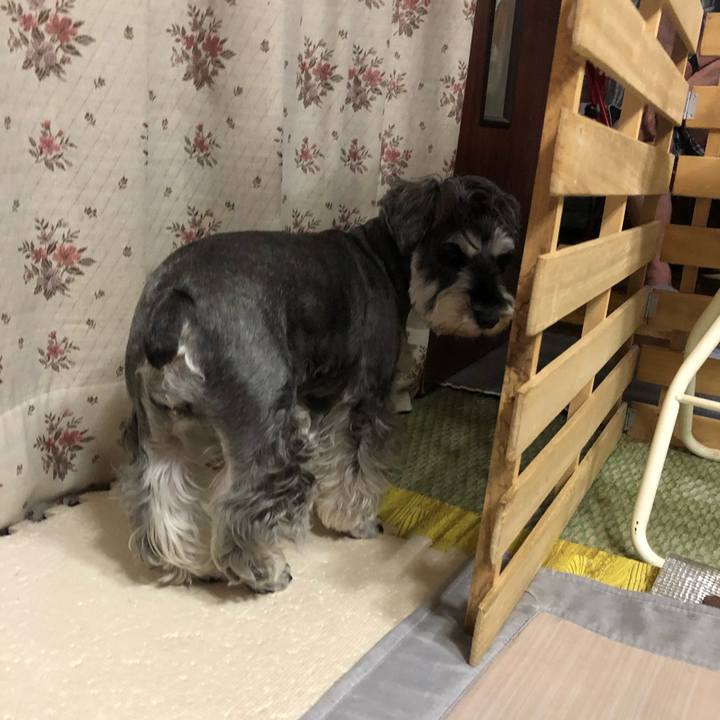 E6307d89 ec7b 4384 95fa de34f05b4567 1632489280982