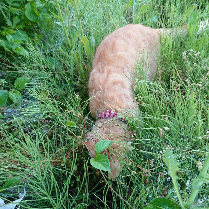 E63081bf e92e 46dd 868a d681cace84df 1559982823847