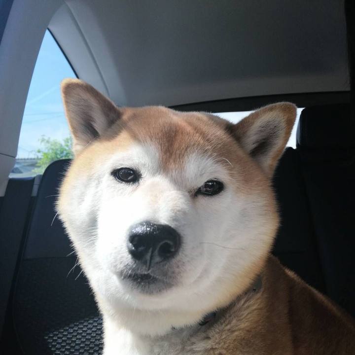 E630ad46 ad18 4935 894d 4d33f53f15b4 1589246377292