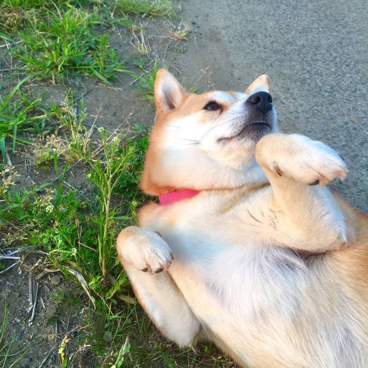 E630b9d1 0951 4026 a312 d59855c91223 1524715060143