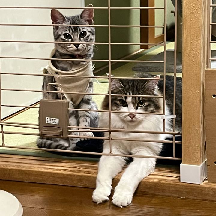 E630c1fa 8614 4145 a68a 1d0f6eeadf09 1707564133688