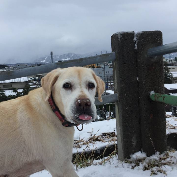 E630d702 e7d6 4b27 a7df ae397e194aaf 1513479192579