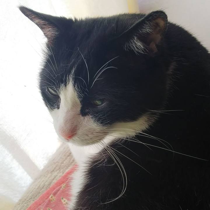 E63110e7 7596 4914 82a8 3815160d4f56 1560375884178