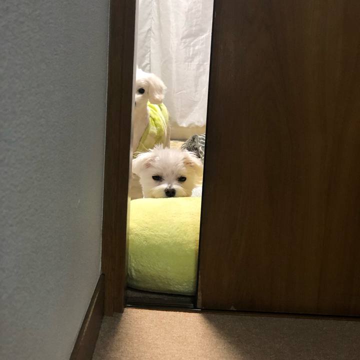 E6311665 914a 4ce3 82eb 4f69e3aaca52 1547098109392